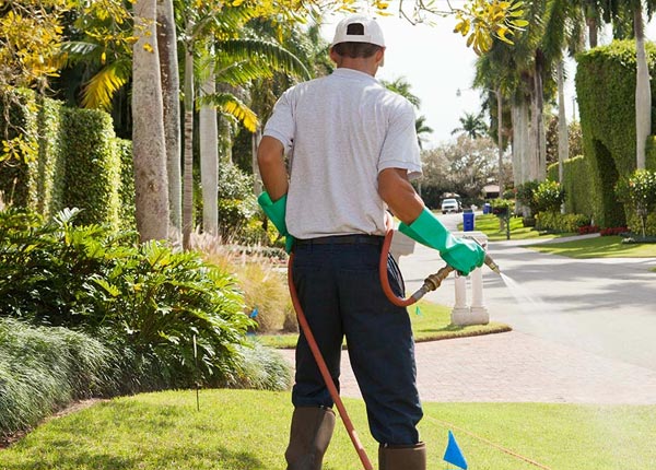 About Washington NJ Pest Control Pros